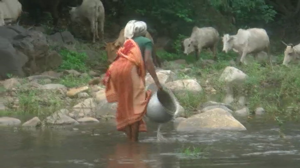 ନାଳ ସାଜିଛି ଲୋକଙ୍କ ପାଇଁ କାଳ