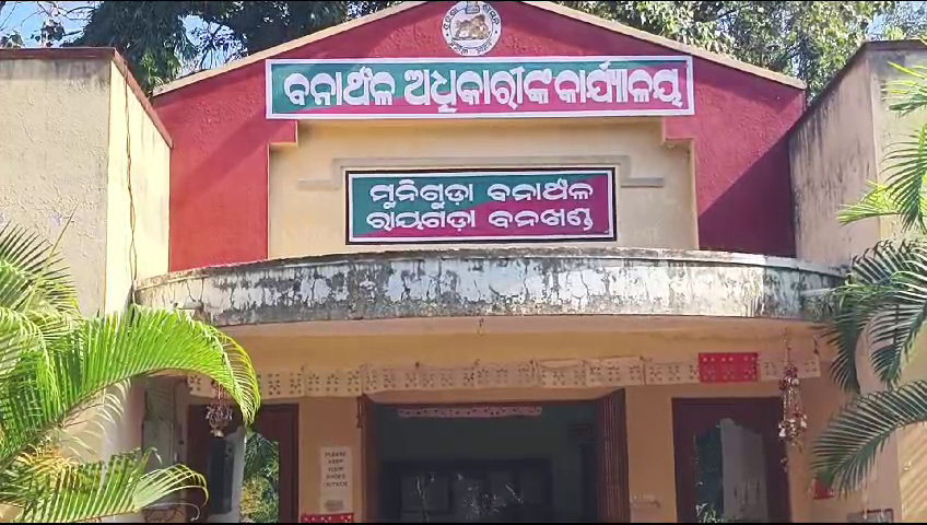 ହାତୀଦାନ୍ତ ମାଫିଆଙ୍କ ଲିଙ୍କରେ ବନବିଭାଗ କର୍ମଚାରୀଙ୍କୁ ଆକ୍ରମଣ ଘଟଣା